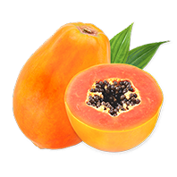 Estratto di Papaya