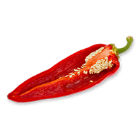 Capsicum