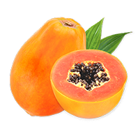 Papaya Extract